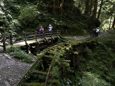 太平山｜見晴古道_10