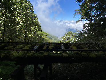 太平山｜見晴古道_13