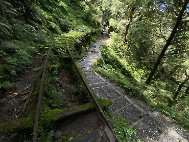 太平山｜見晴古道_14