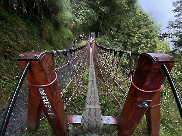 太平山｜見晴古道_17