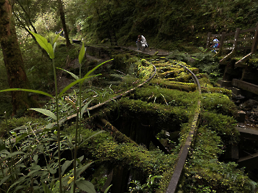 太平山｜見晴古道_19