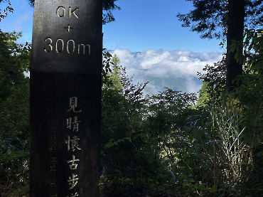 太平山｜見晴古道_7