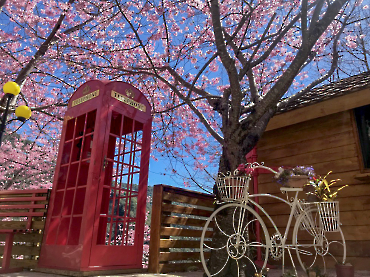 拉拉山 楓墅農莊