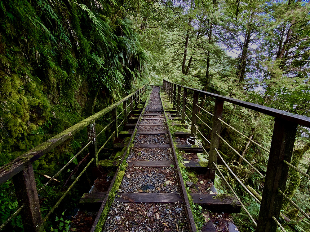 太平山｜見晴古道_18